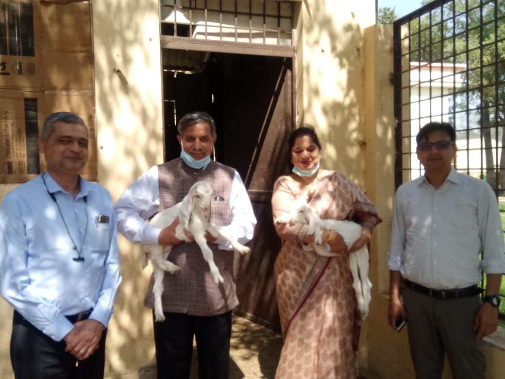 chairman-university-grant-commission-prof-d-p-singh-visited-duvasu-mathura-on-7th-march-2021-and-appreciated-the-activities-of-the-goat-unit-of-the-college