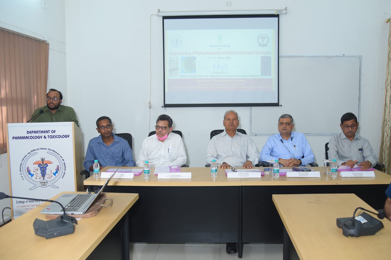 Glimpses of Valedictory function of Hands on Training programme on “Bioprospecting of Phytoconstituents to Combat Antimicrobial Resistance” Under ICAR-EVM Project held at Department of Veterinary Pharmacology and Toxicology, C. V. Sc. & A.H., DUVASU, Mathura