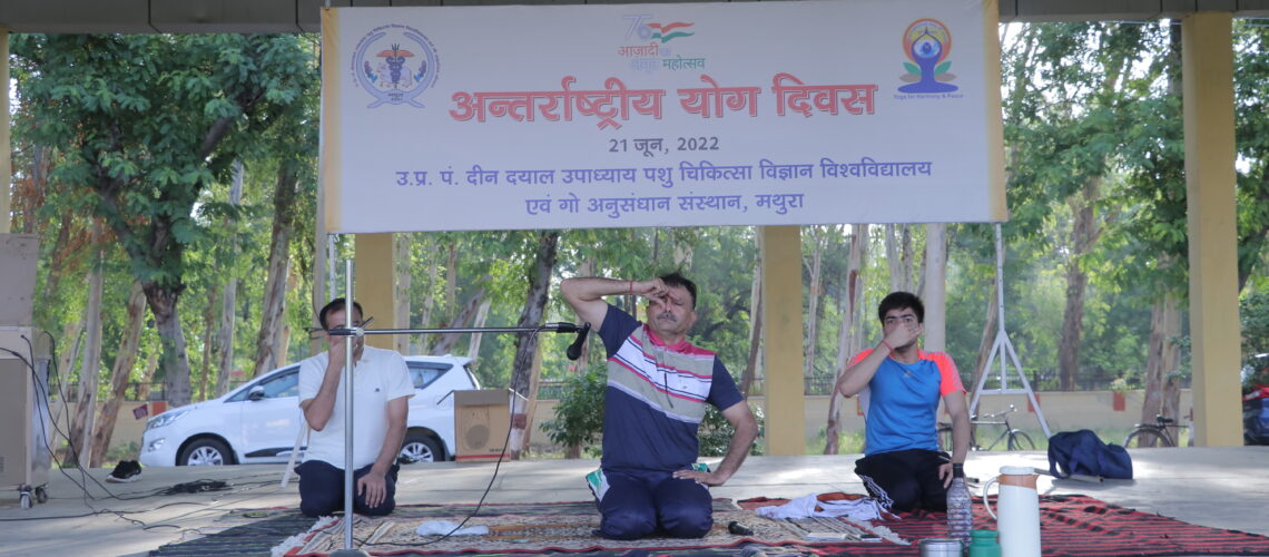 celebration-of-8th-international-yoga-day-at-duvasu-mathura