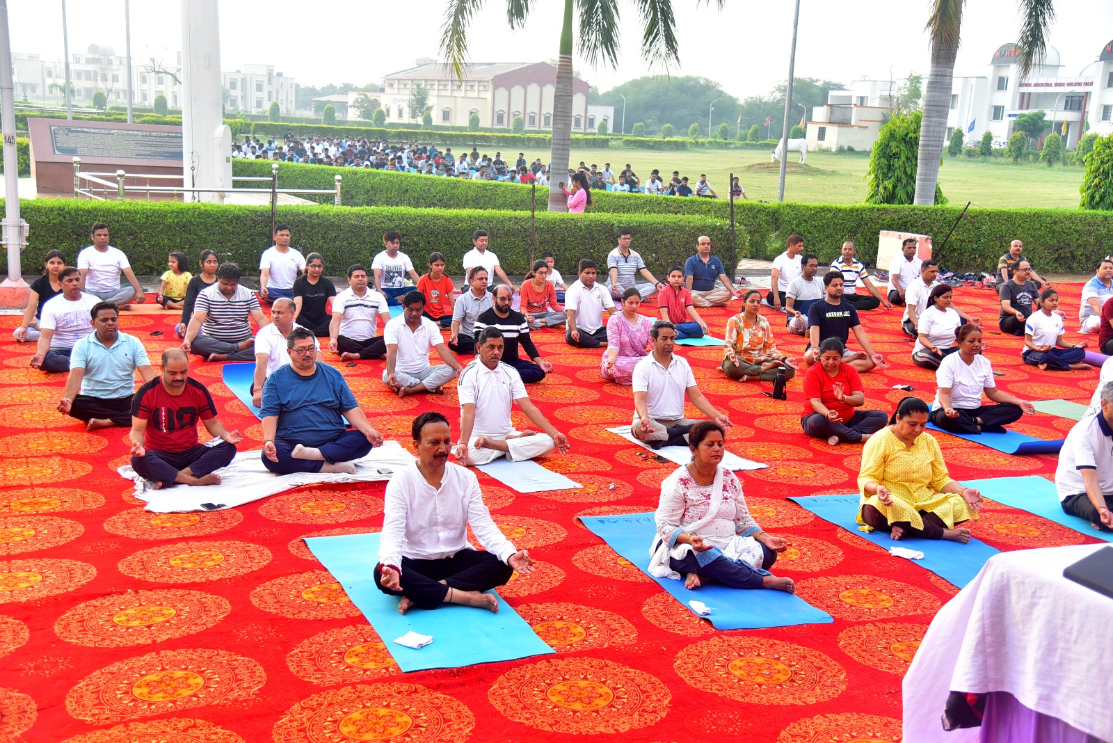 Celebration of International Yoga Day at DUVASU,Mathura